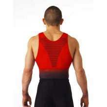 Christian Moreau Teamtrikot/Trikot/Turntrikot/Turnbody "Palace" ab 10 Stück bestellbar